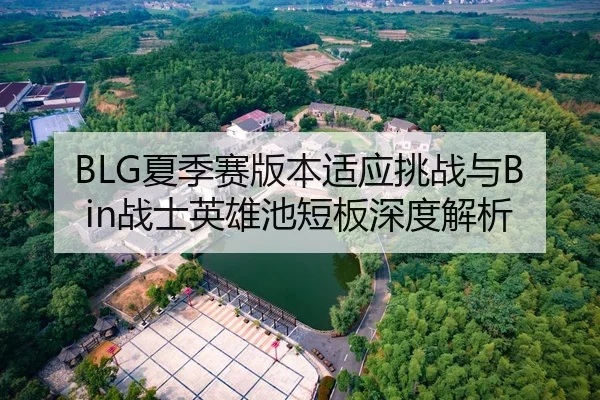 BLG夏季赛版本适应挑战与Bin战士英雄池短板深度解析