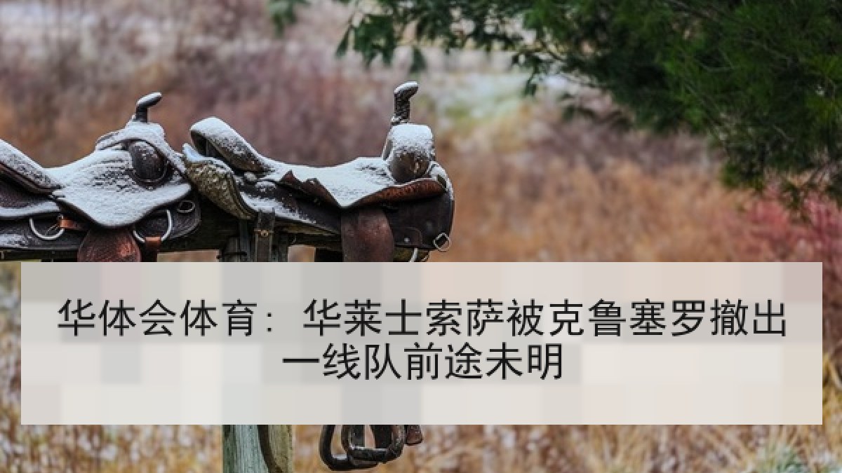 华体会体育: 华莱士索萨被克鲁塞罗撤出一线队前途未明