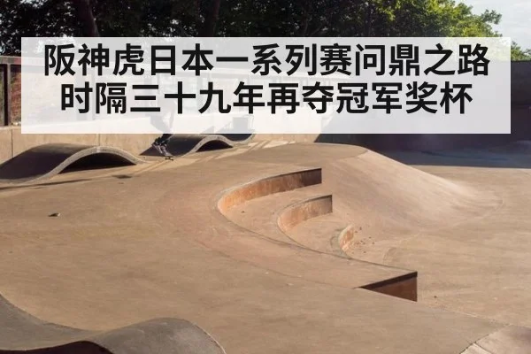 阪神虎日本一系列赛问鼎之路 时隔三十九年再夺冠军奖杯